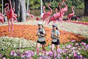 BIB: 
                            <button type="button" onclick="openModal(27793530)" class="btn btn-primary btn-sm float-right btn-popup" data-toggle="modal" data-target=".modal-high-quality">
                        <i class="fas fa-shopping-cart"></i> Add to Cart
                    </button>
                                            <button type="button" onclick="isThisMe(27793530, true)" class="btn btn-success btn-sm float-right btn-popup btn-isme hidden" data-toggle="tooltip" data-placement="bottom" title="นี่คือรูปของคุณใช่ไหม คลิกที่นี่เพื่อเอาเข้าอัลบั้ม">
                        <i class="fas fa-plus"></i> Add to album
                    </button>
                    <button type="button" onclick="isThisMe(27793530, false)" class="btn btn-warning btn-sm float-right btn-popup btn-isnotme hidden">
                        <i class="fas fa-ban"></i> Remove from album
                    </button>